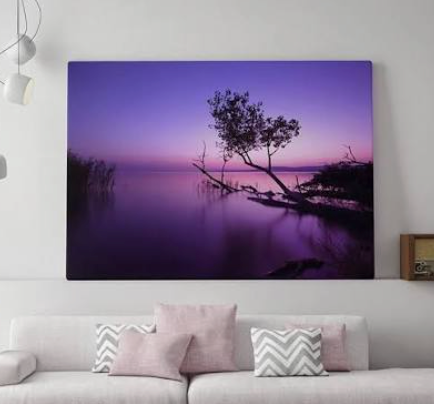 Canvas Prints